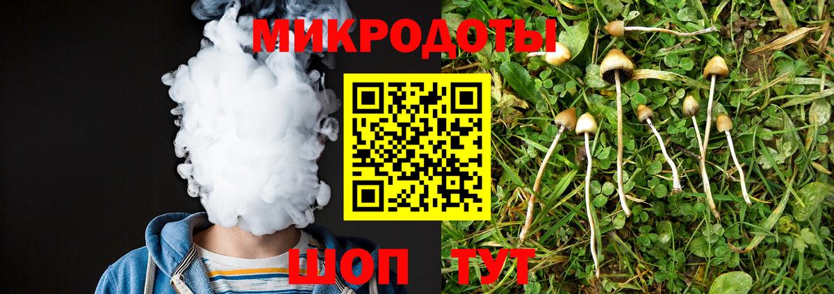 Галлюциногенные грибы прущие грибы Конаково